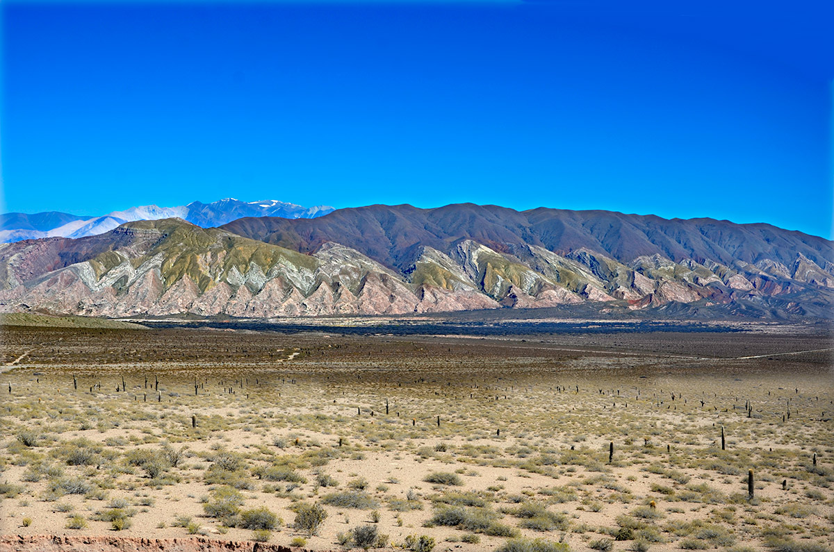 Parque Nacional de los Cardones