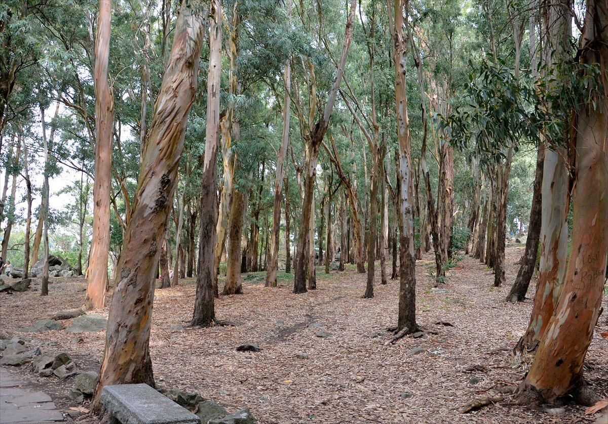 Tandil - Monte Calvario