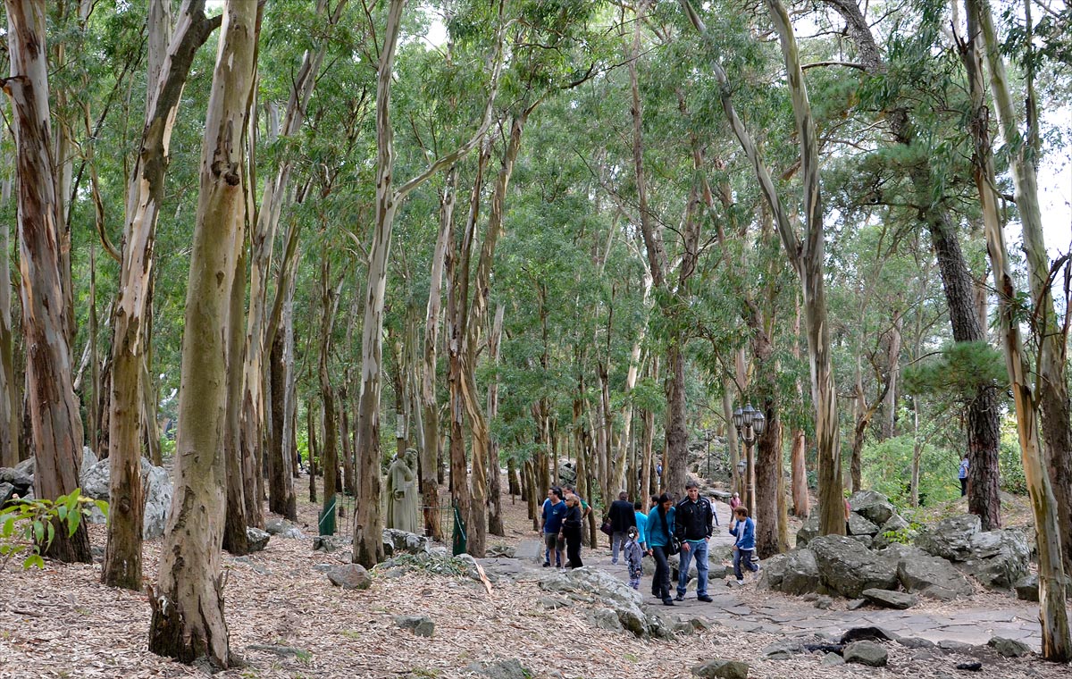Tandil - Monte Calvario