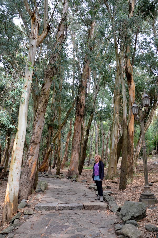 Tandil - Monte Calvario