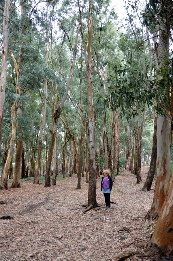 Tandil - Monte Calvario