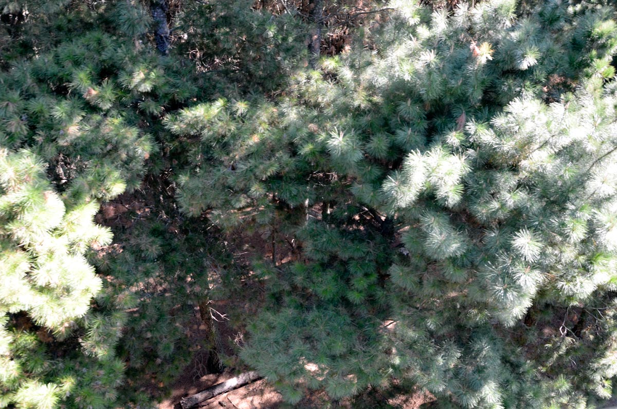 Tandil - Cerro Centinela