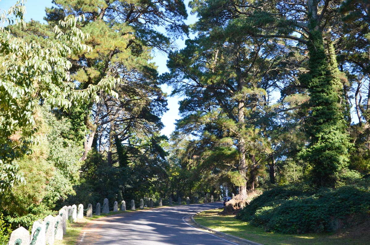 Tandil - Parque Independencia