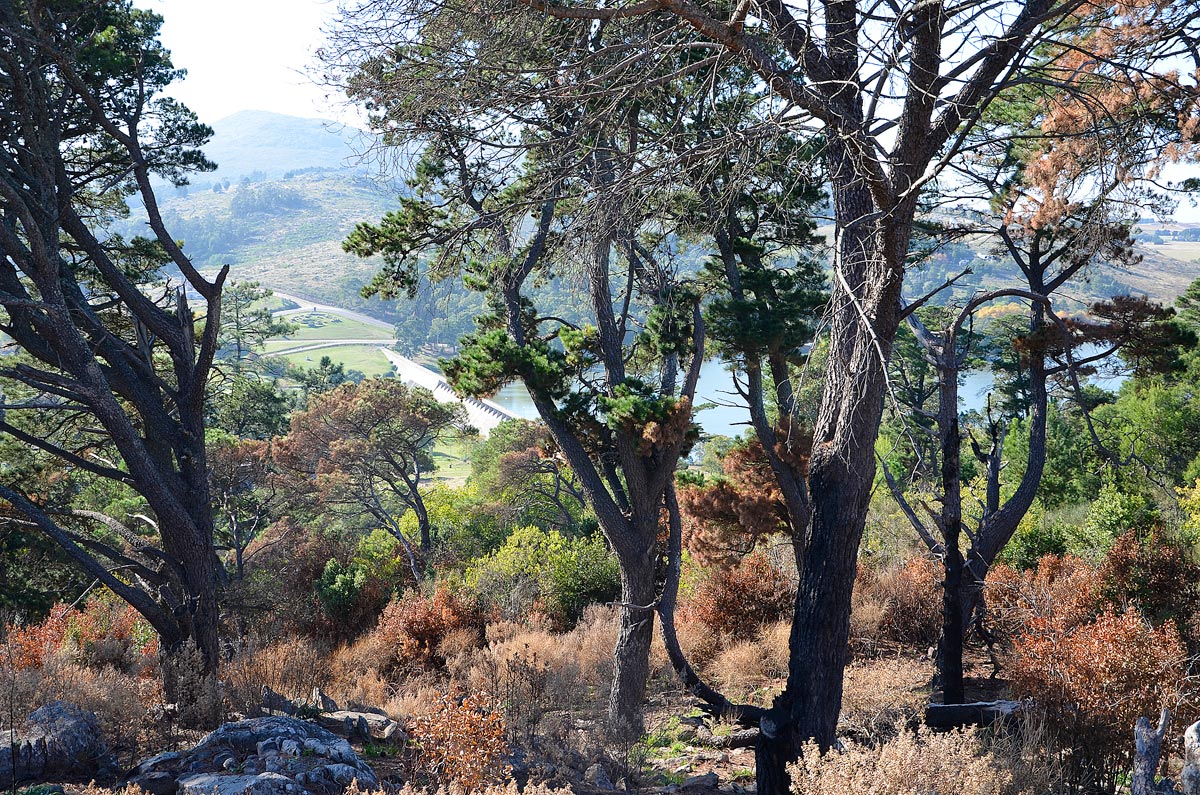 Tandil - Parque Independencia