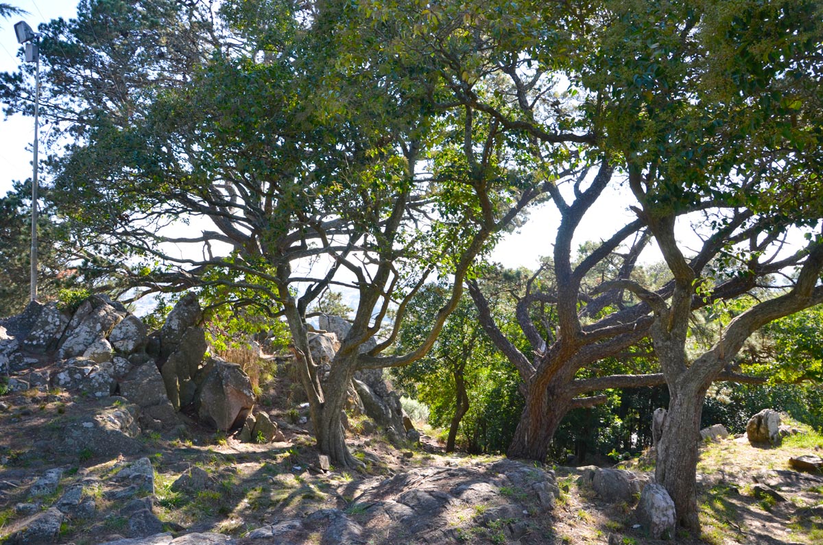 Tandil - Parque Independencia
