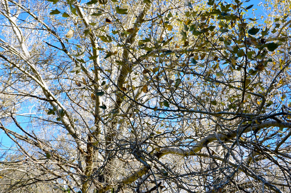 Tandil - Lago del Fuerte