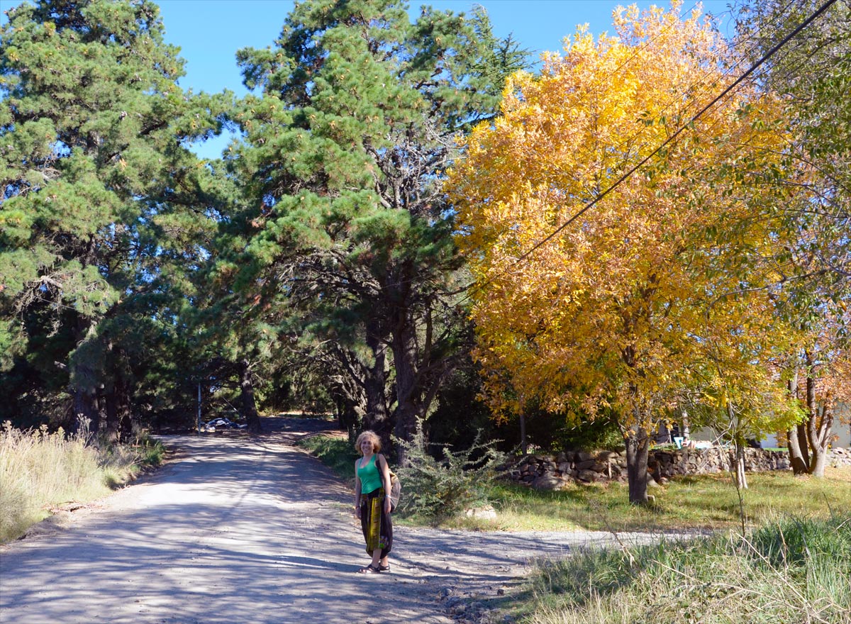Tandil - Estatua del Quijote