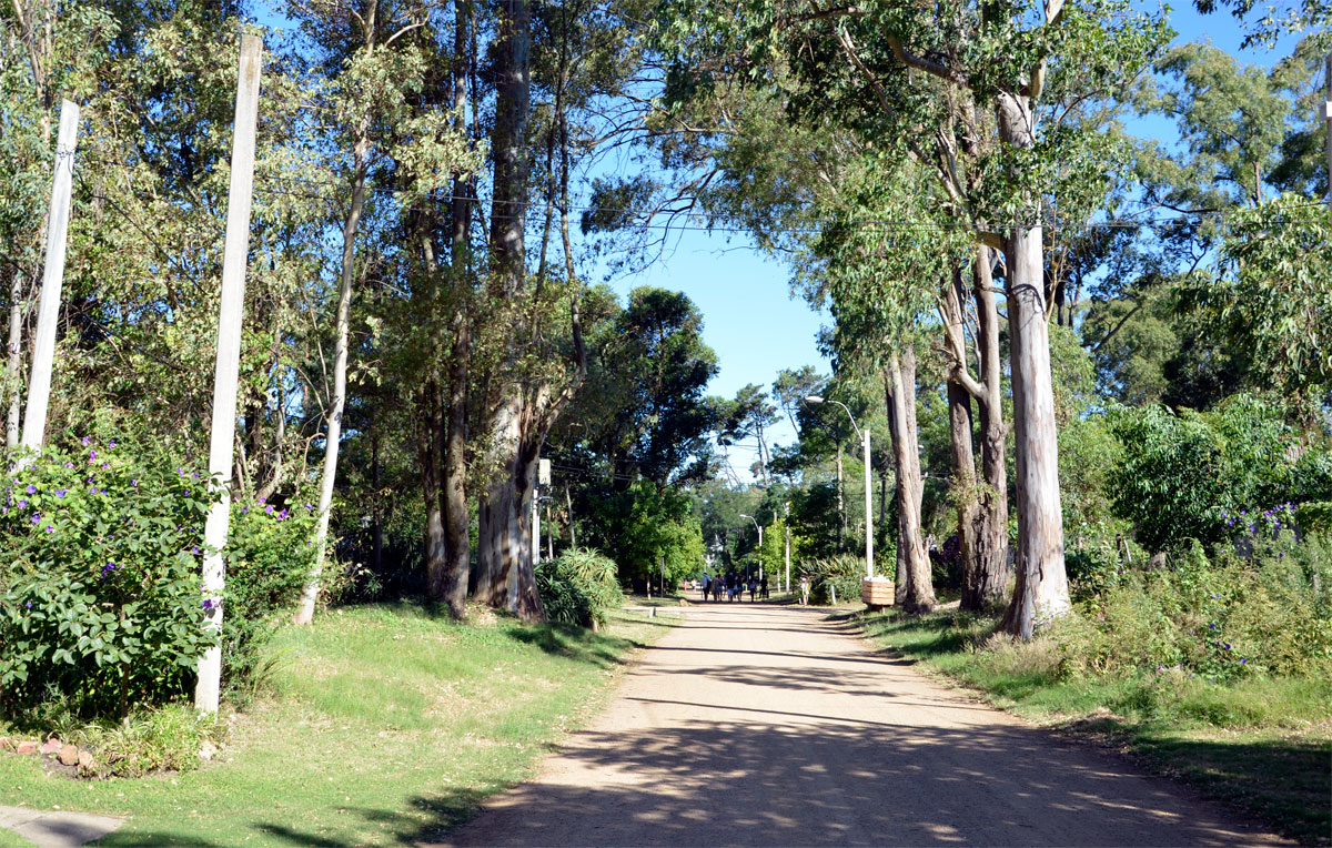 Fortin de Santa Rosa