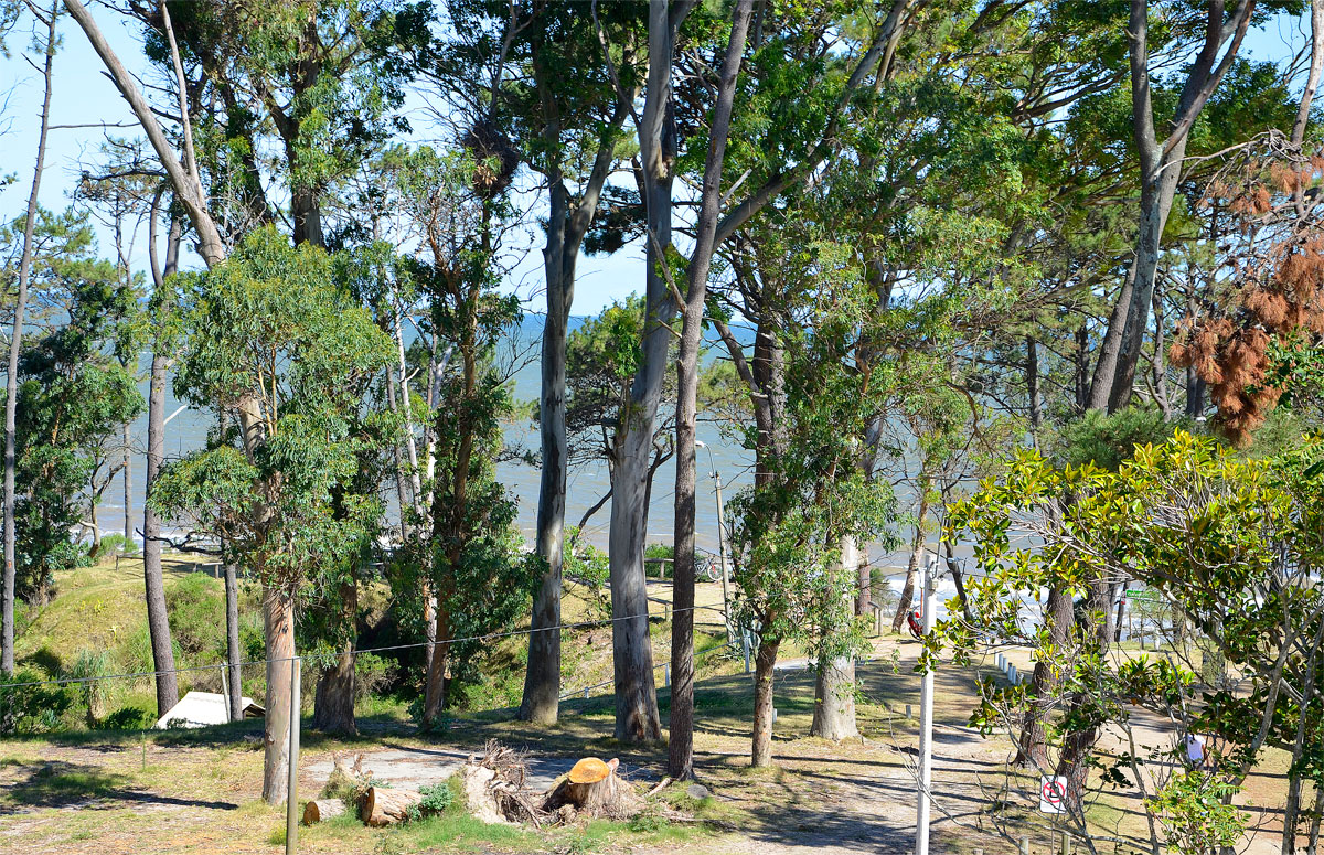 Fort&iacute;n de Santa Rosa