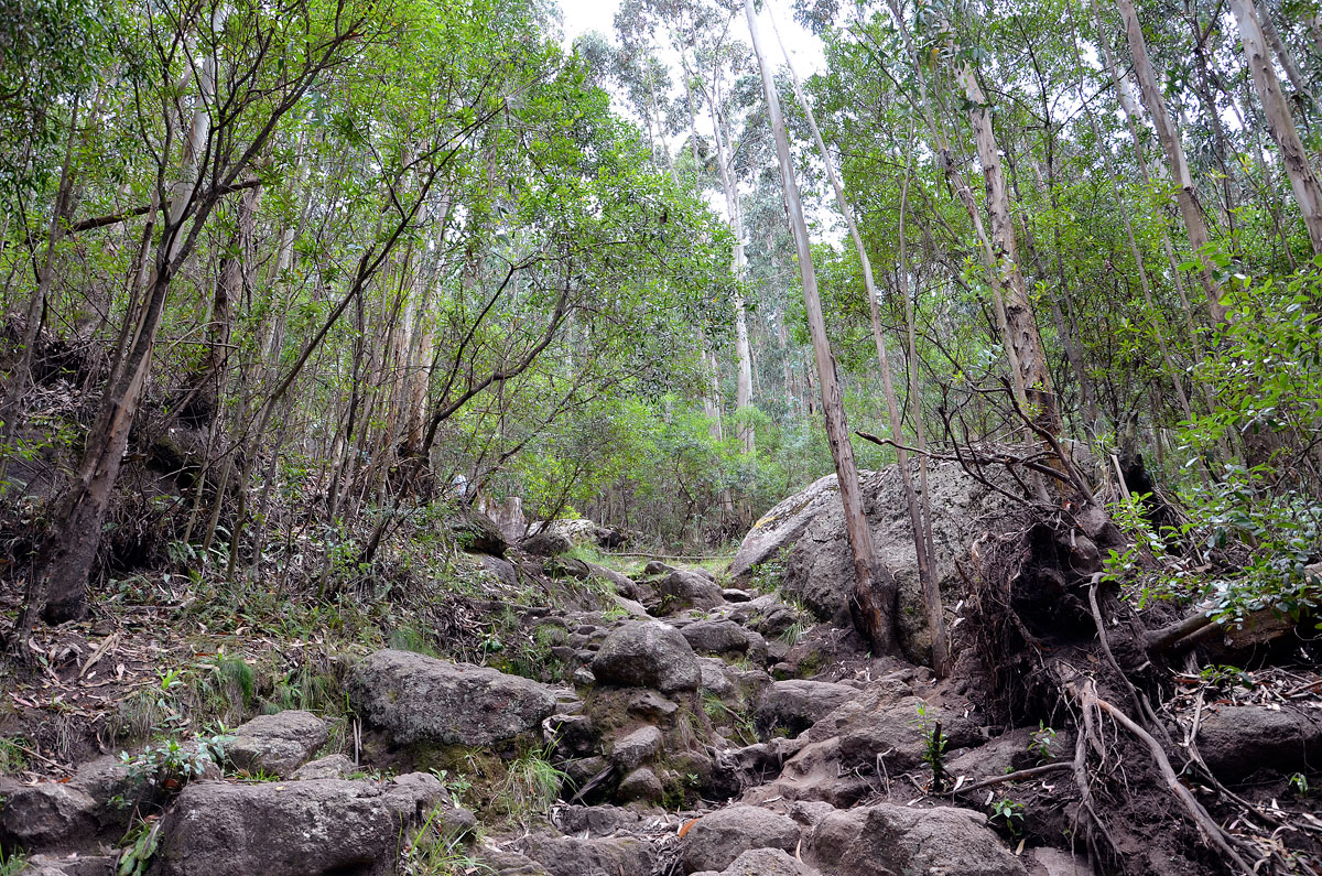 Cerro Pan de Az&uacute;car