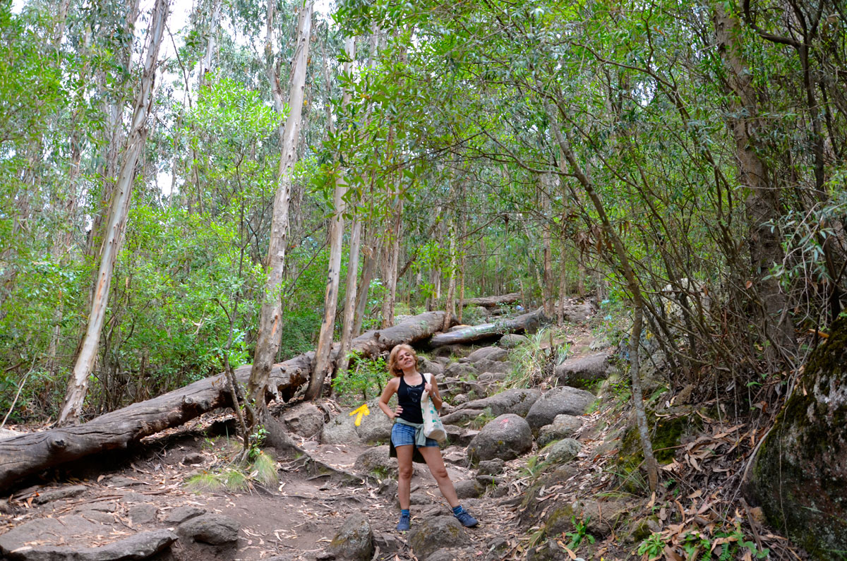 Cerro Pan de Az&uacute;car
