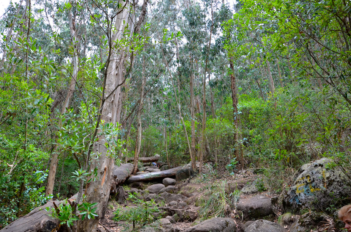 Cerro Pan de Az&uacute;car