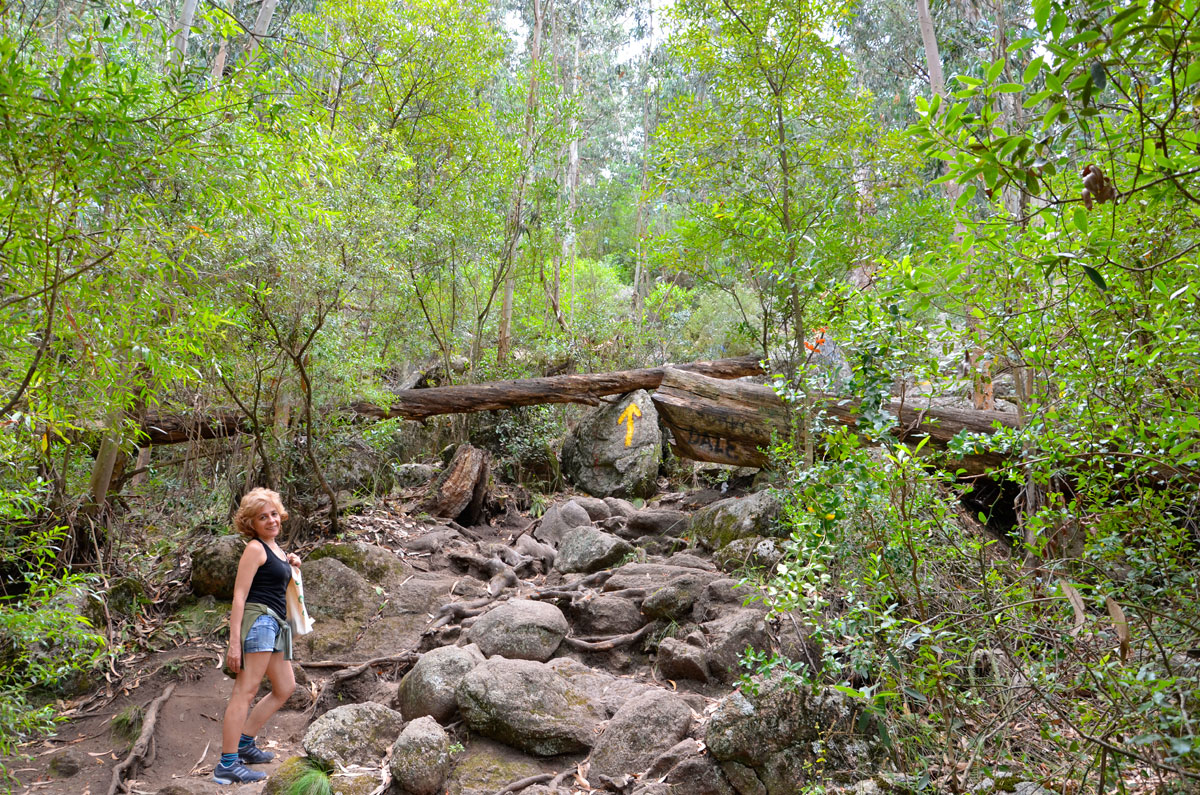 Cerro Pan de Az&uacute;car