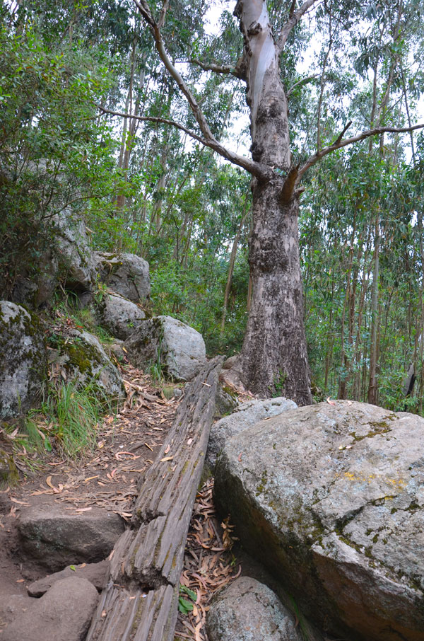 Cerro Pan de Az&uacute;car