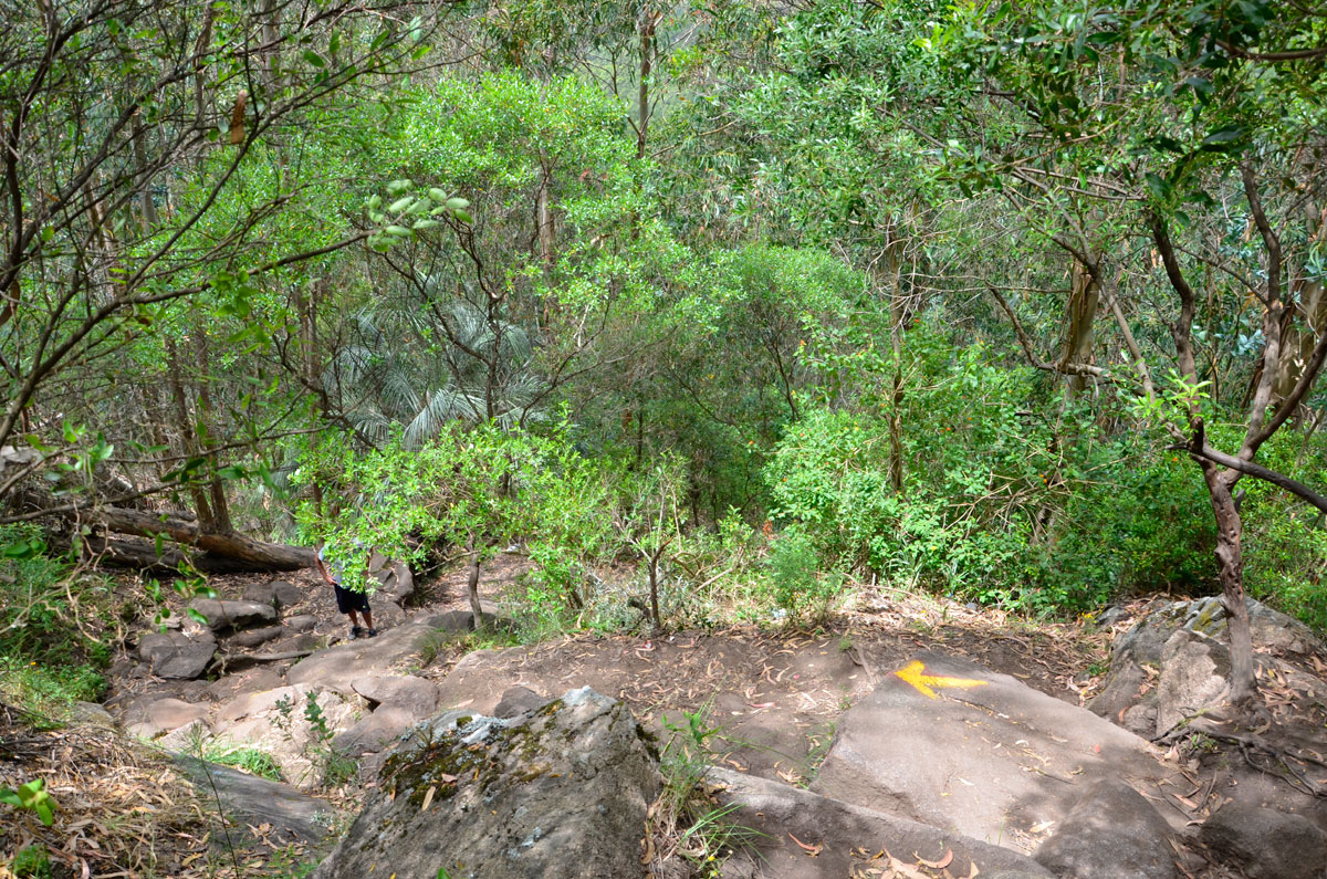 Cerro Pan de Az&uacute;car