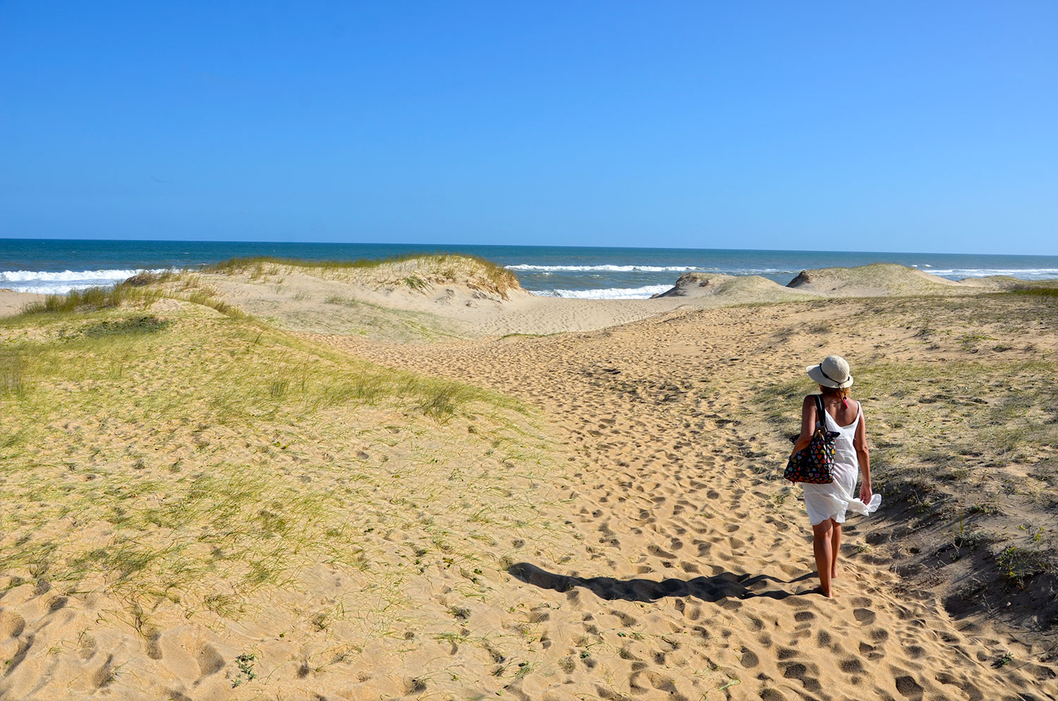 Ocean&iacute;a del Polonio - Uruguay 2018