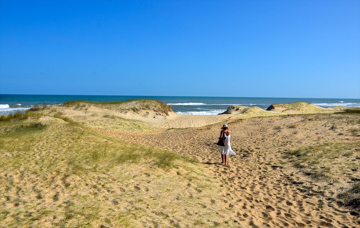 Ocean&iacute;a del Polonio - Uruguay 2018