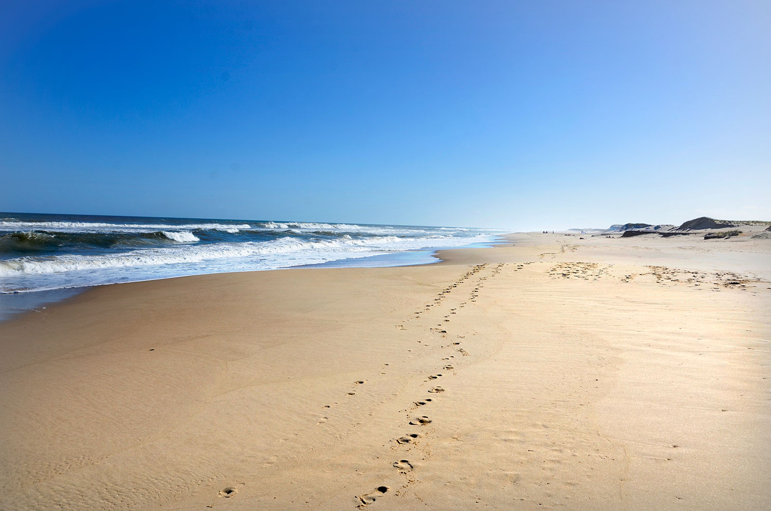 Ocean&iacute;a del Polonio - Uruguay 2018