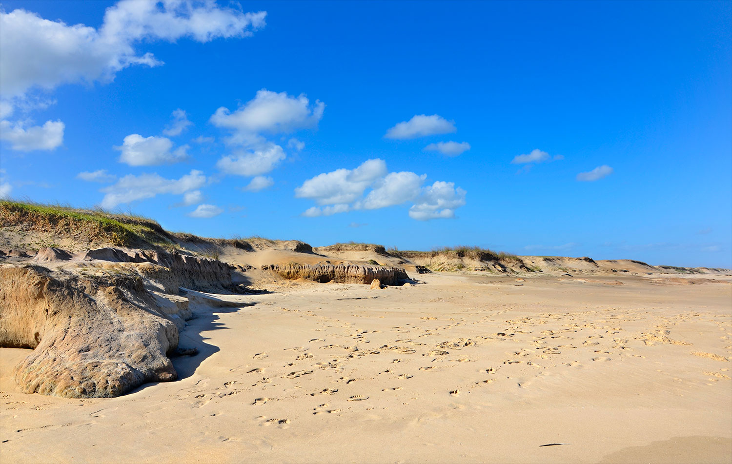 Ocean&iacute;a del Polonio - Uruguay 2018