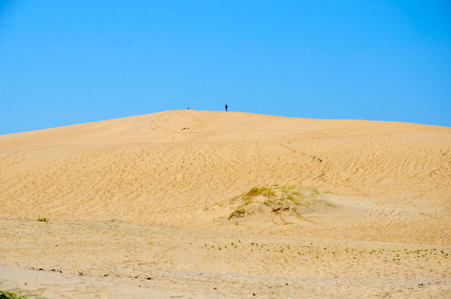Valizas, Uruguay 2018