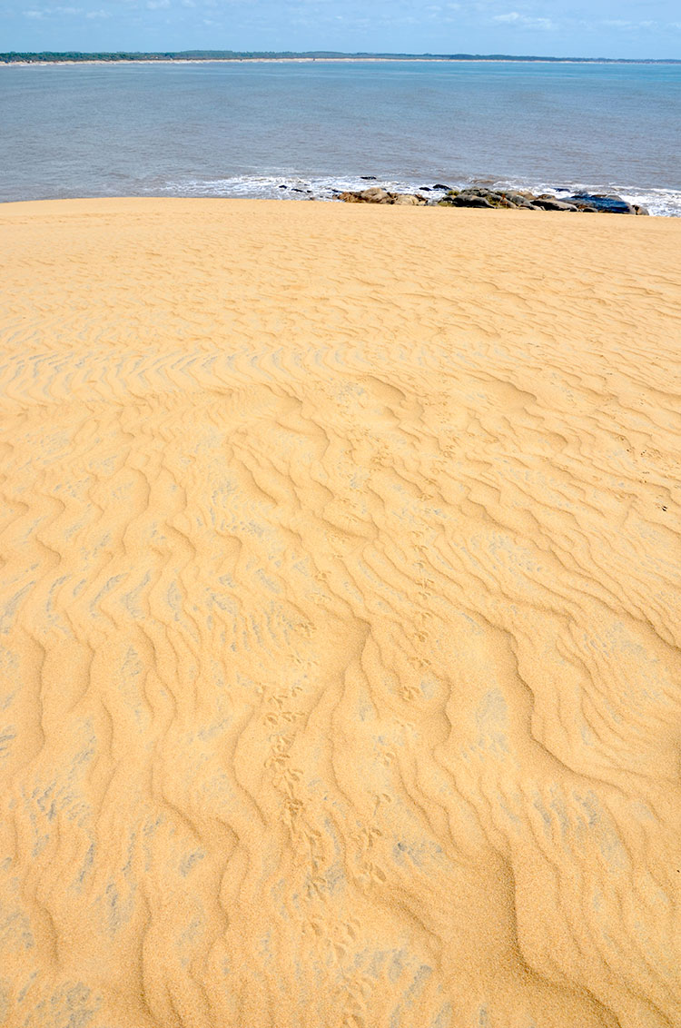 Valizas - Uruguay 2018