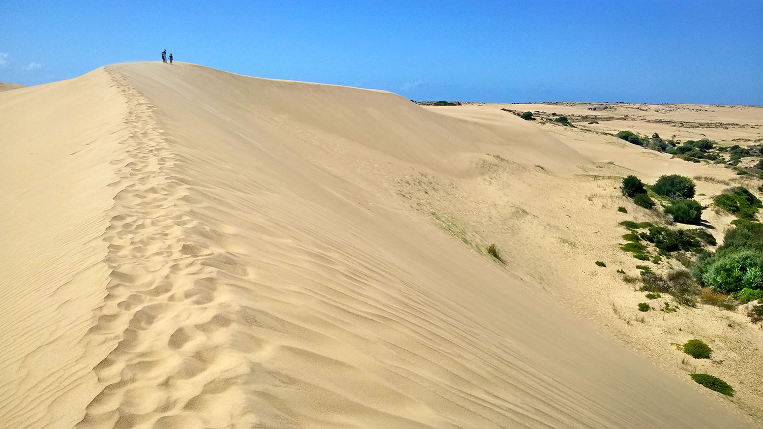 Barra de Valizas - Uruguay 2018