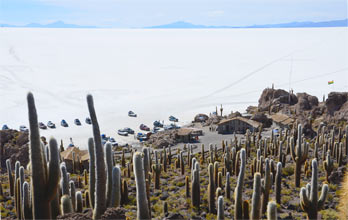 Salar Uyuni, isla Incahuasi