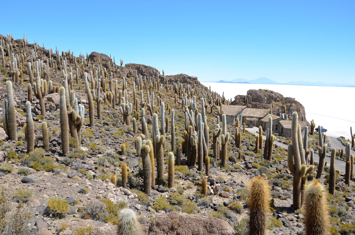 Salar Uyuni