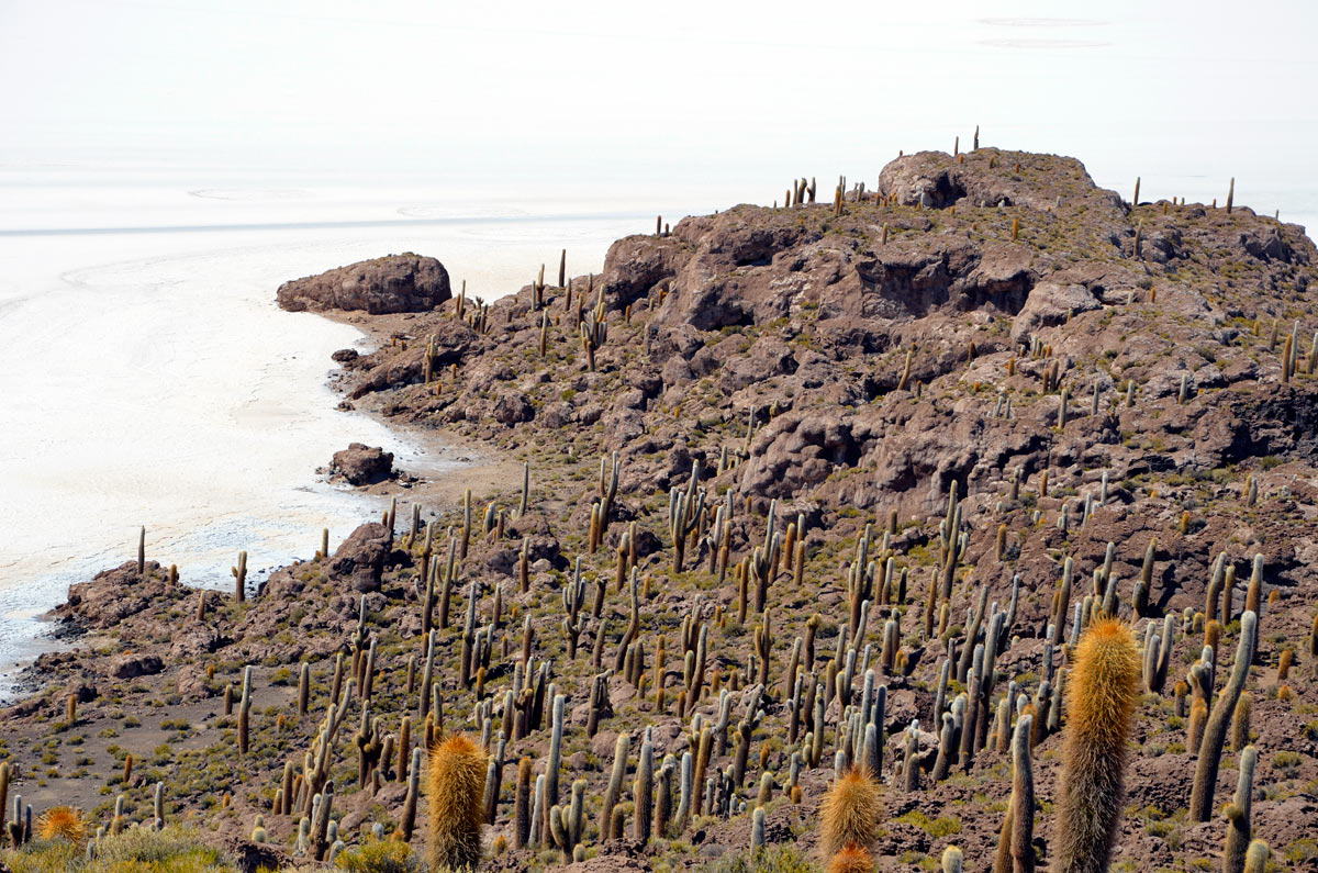 Uyuni Incahuasi