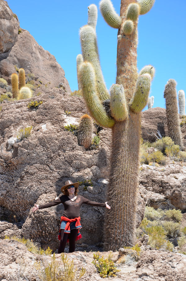 Salar Uyuni, Incahuasi