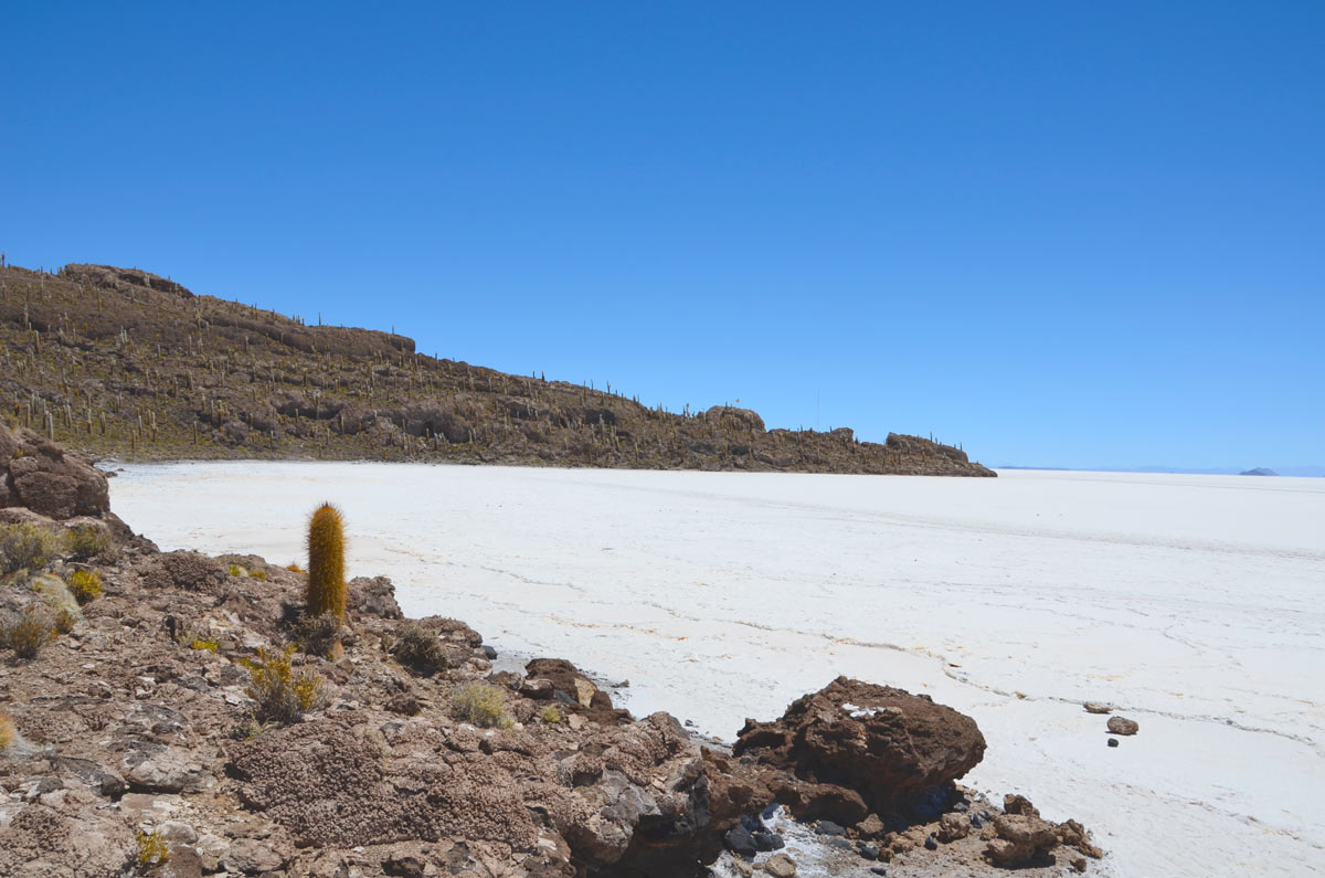 Salar Uyuni, Inchahuasi